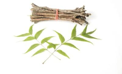 Ayurveda Gewürz
