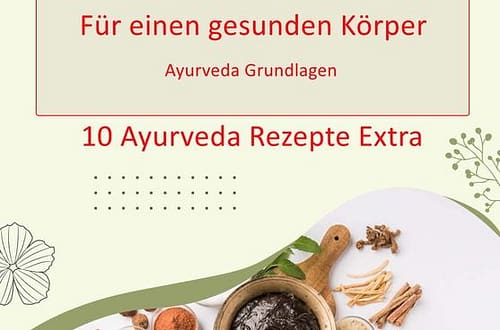 Ayurveda Grundlagen